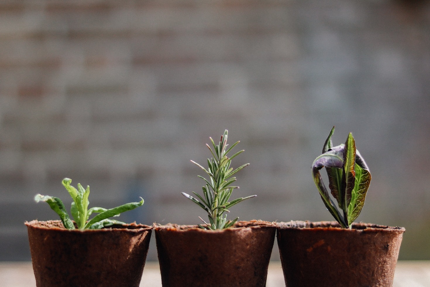 Guida alla lettura delle schede tecniche dei prodotti 4Bud