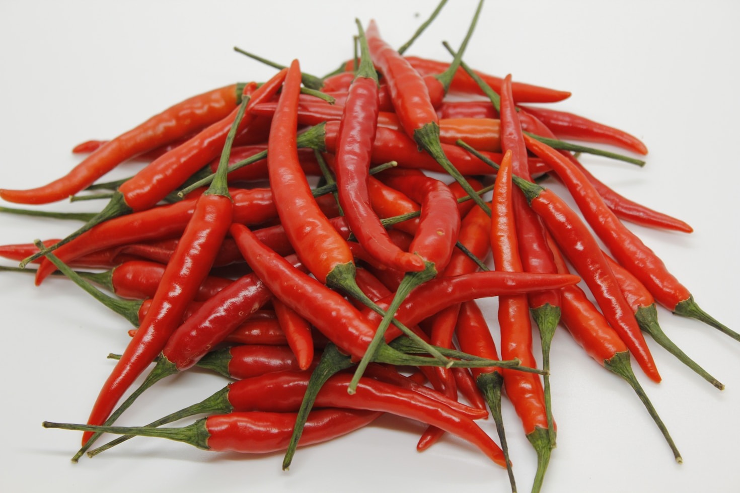 I vantaggi dei nutrienti di alta qualità per le piante
